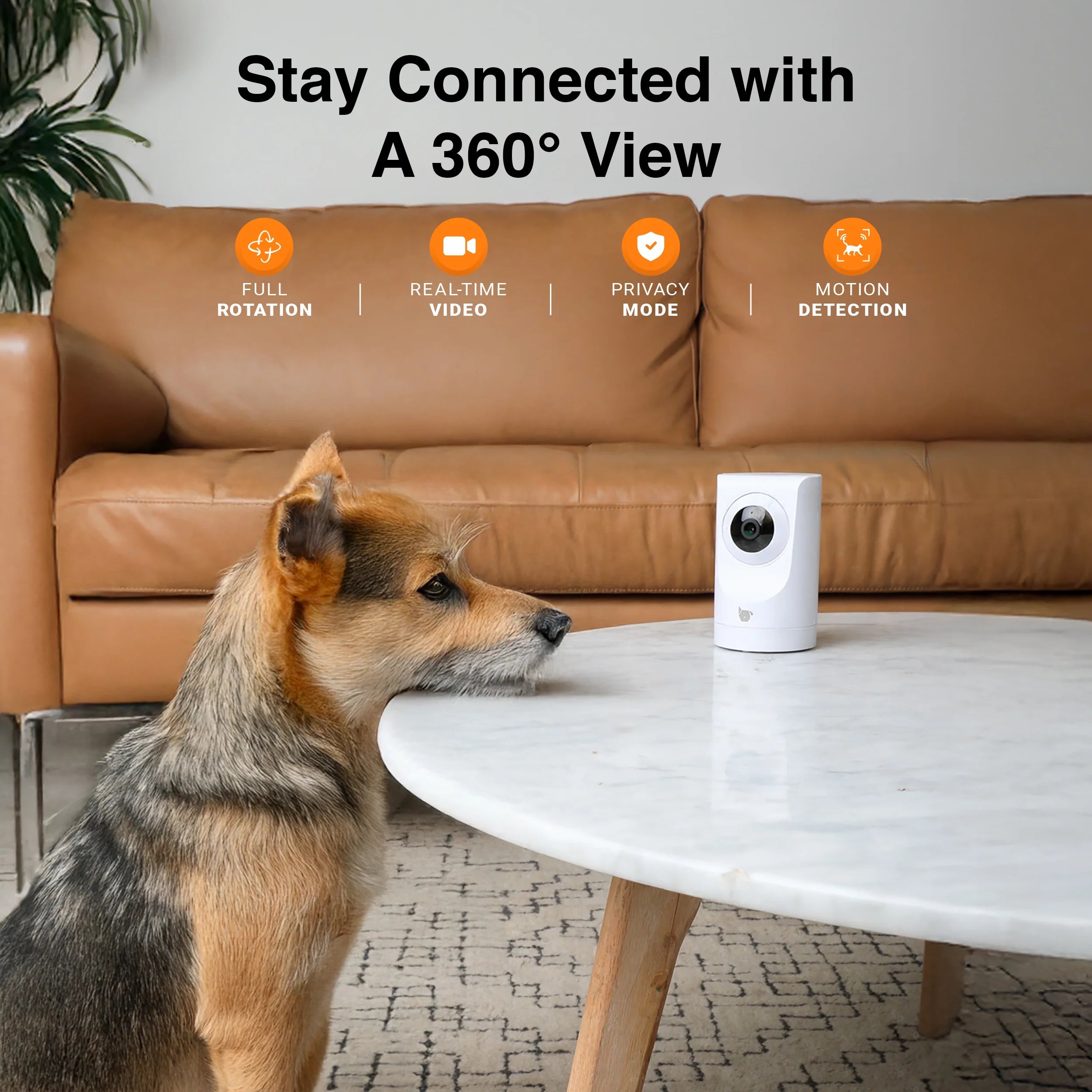 (2 Pack)  Purrsight 360° Smart Pet Camera, 1080P HD, Wireless, 2-Way Audio